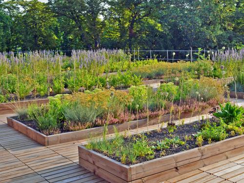 Vegetable and herb plots on a rooftop with wooden decking